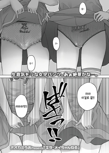 [Ookamiuo] Kira● Mei channel (COMIC LO 2025-02) [Korean] cover
