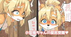 小型種ちゃんの壁尻受難