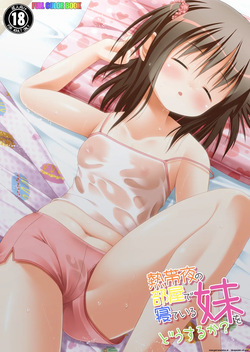 Nettaiya no Heya de Neteiru Imouto wo Dousuruka