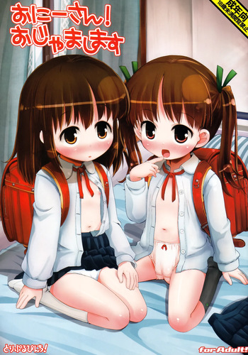 (COMIC1☆6) [Triple Pinch! (Hikami Izuto)] Onii-san! Ojamashimasu [Decensored] cover