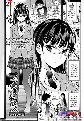[Tamai Shikine] Private Sex cover