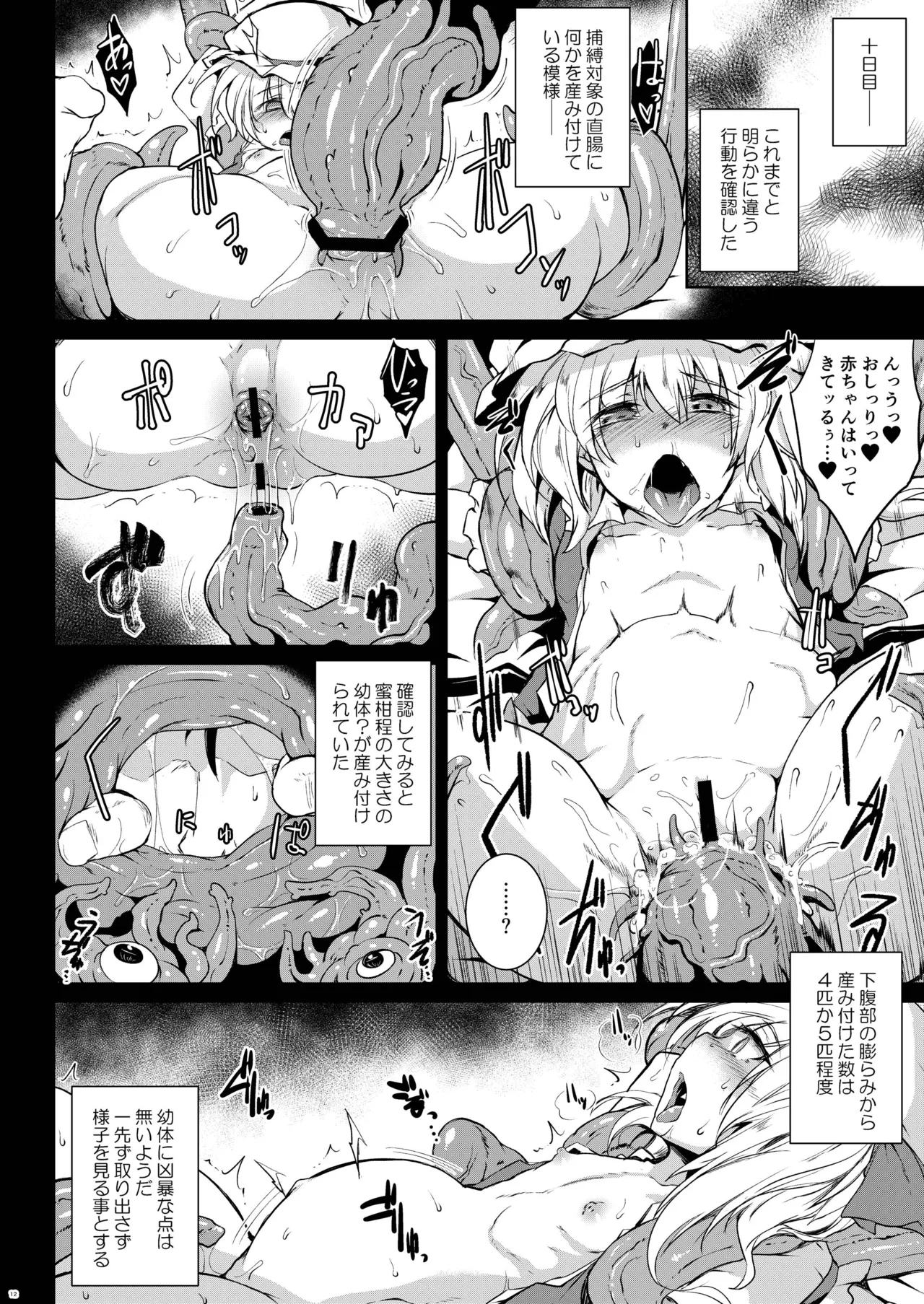 Gensou Enkou -Flandre- Shoku page 11 full