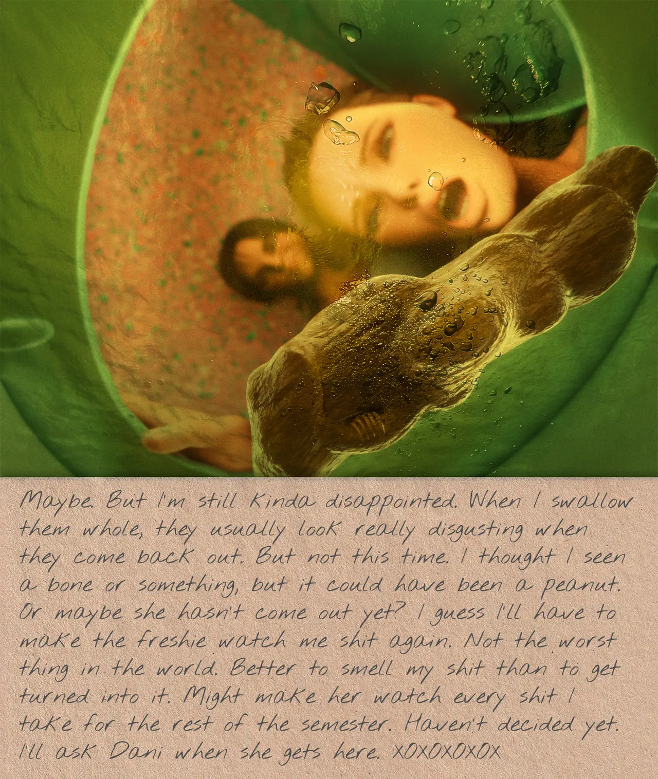 Dear Diary page 8 full