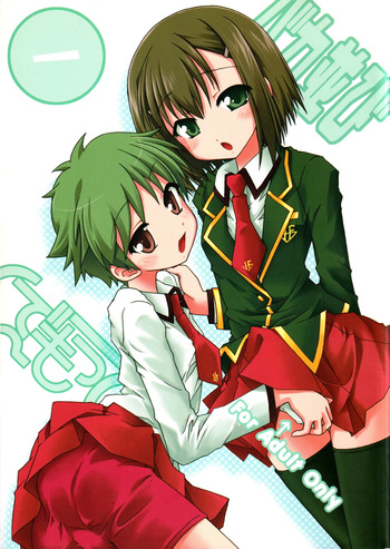 (C75) [Ndemotte (200X ZOOM, KOIZUMI)] Baka Narabi (Baka to Test to Shoukanjuu) cover