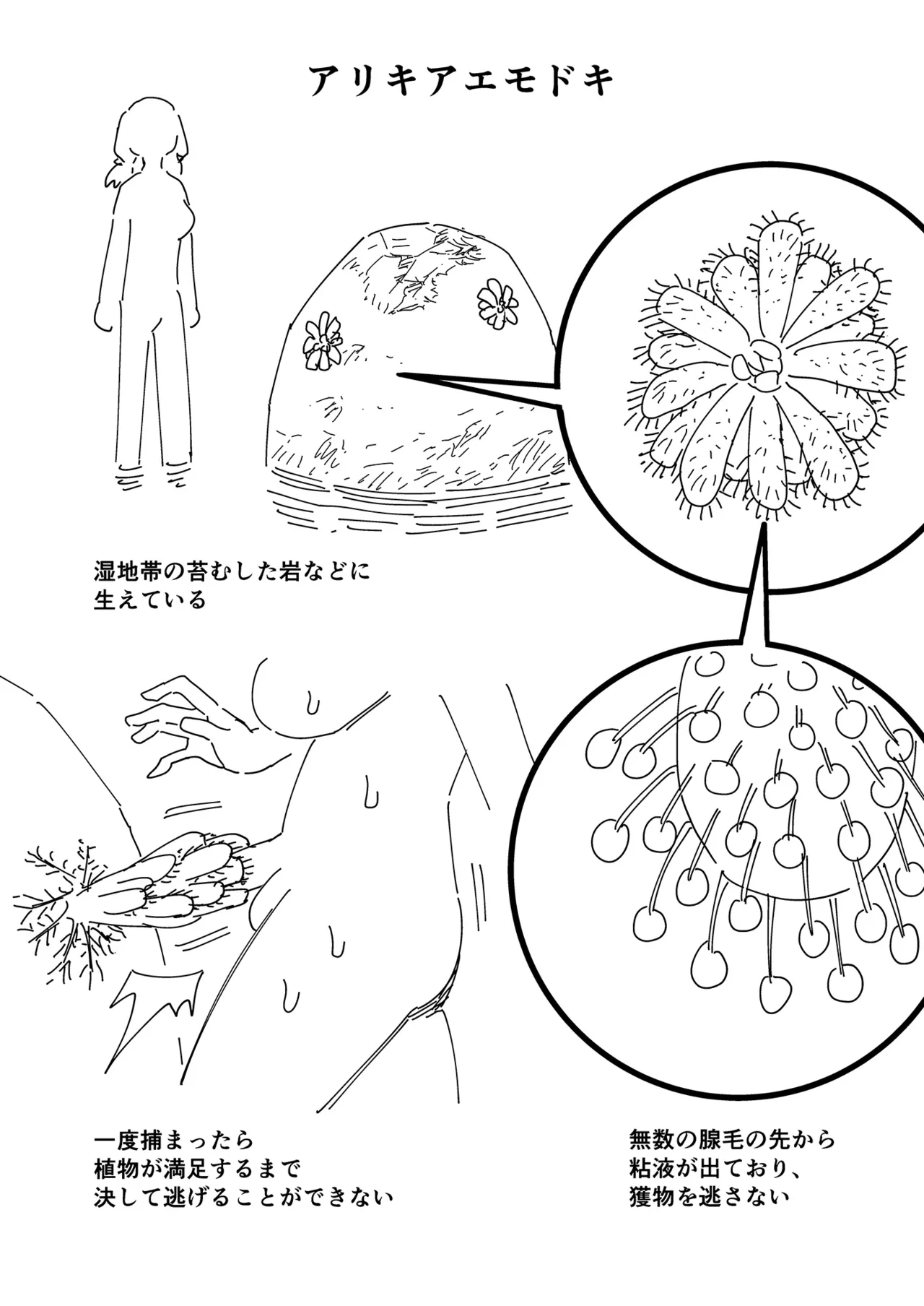 Maki-chan Zukan page 6 full