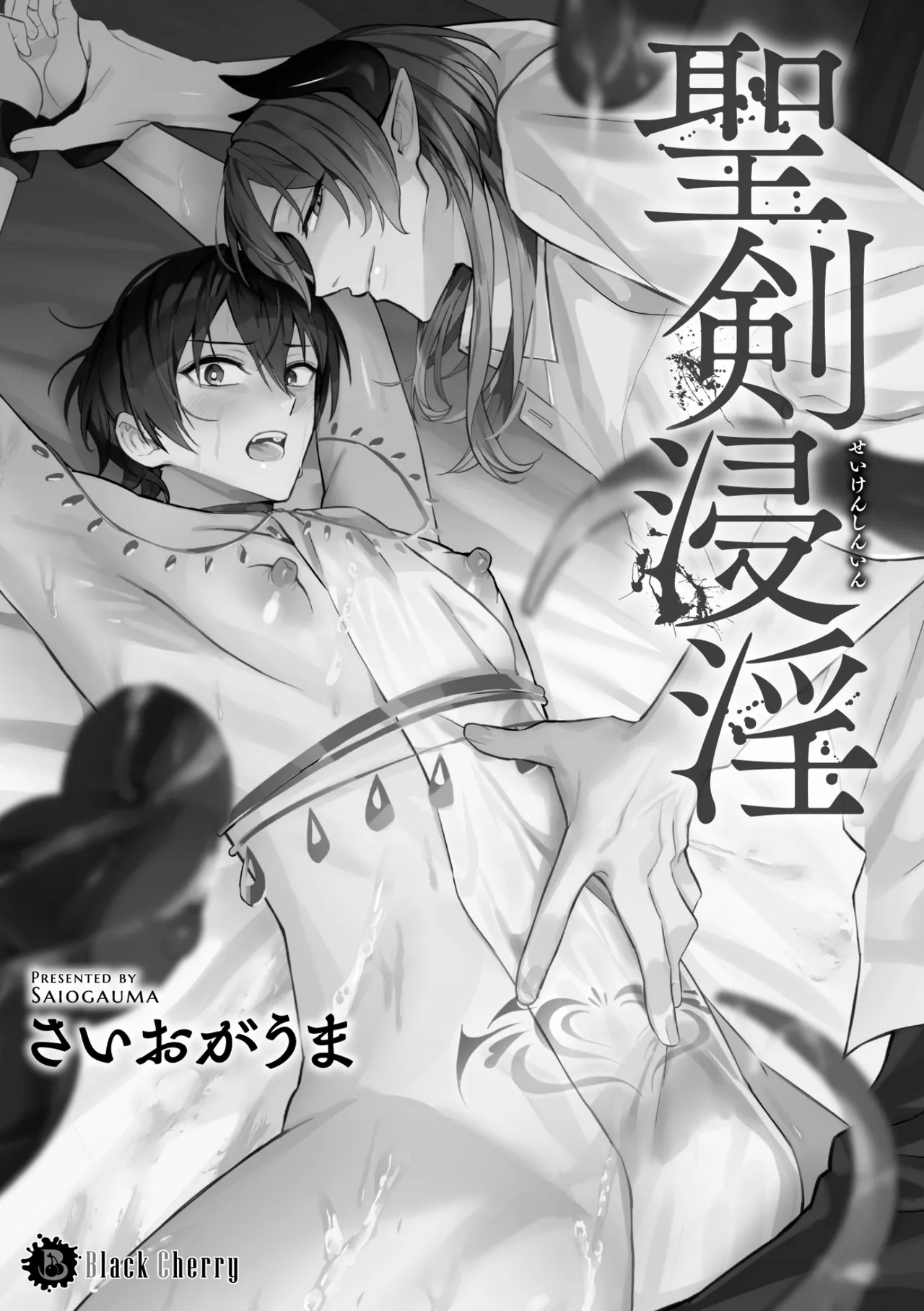 聖剣浸淫 page 3 full
