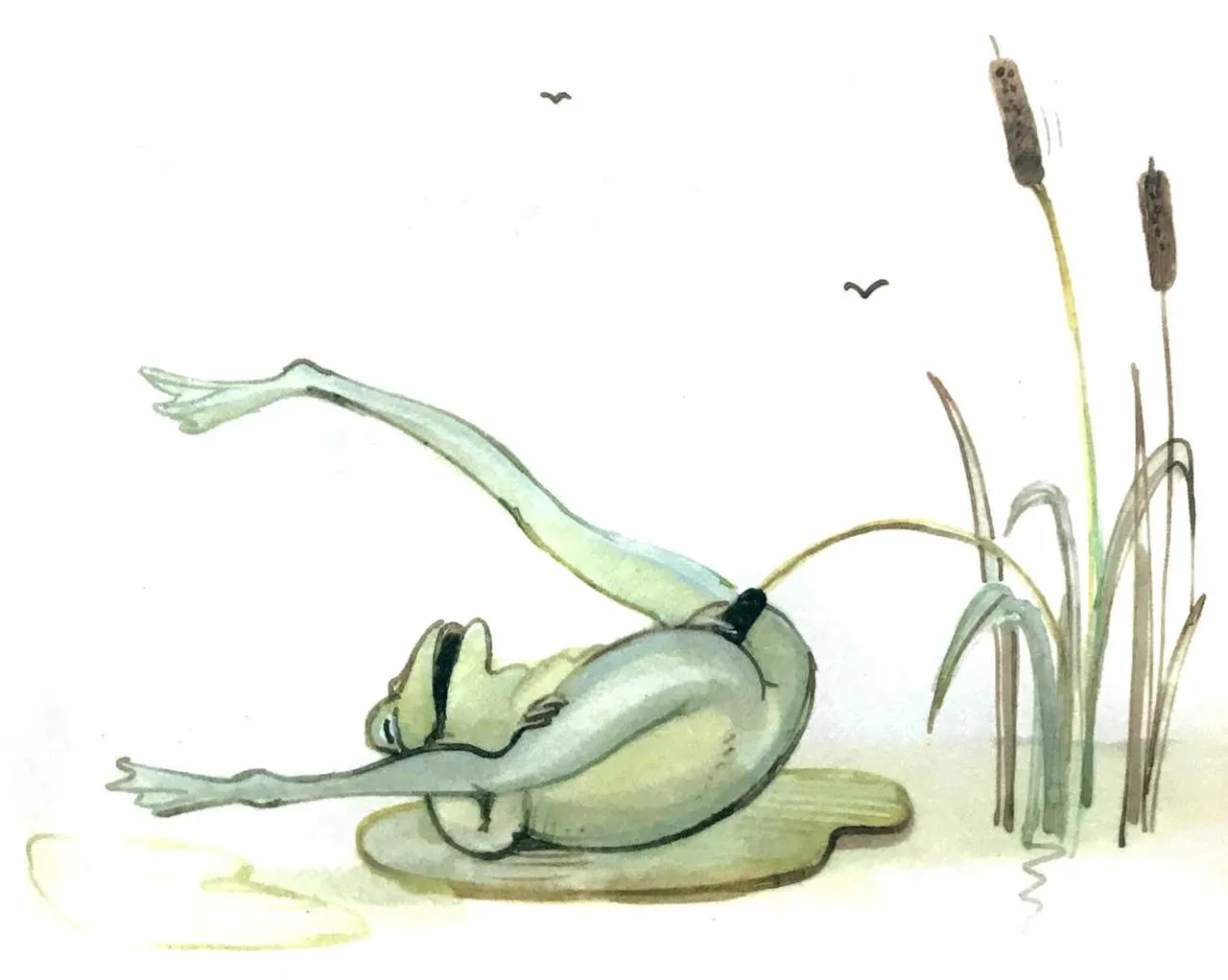 Tomi Ungerer - The Joy of Frogs page 1 full