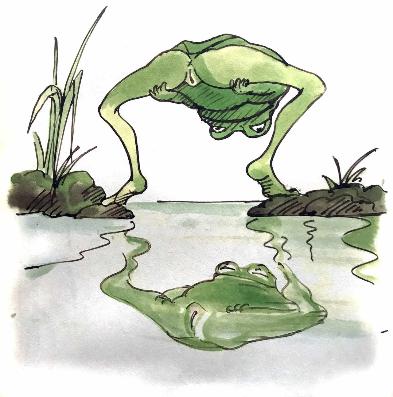 Tomi Ungerer - The Joy of Frogs page 11 full
