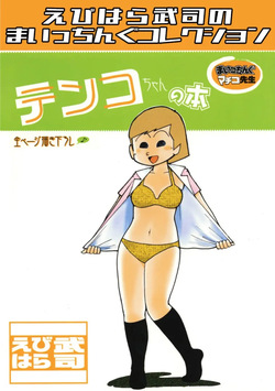 Maicching Machiko Sensei Tenko-chan's Books and Ebihara Takeshi's Maicching Collection NEW