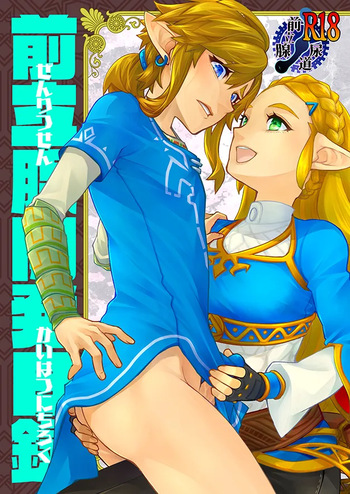 [ONP] Zenritsusen Kaihatsu Nichiroku | Daily Record of Prostate Development (The Legend of Zelda) (Sample) cover