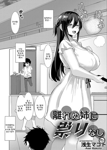 [Asai Makoto] 껌딱지 누나는 무해하다 cover