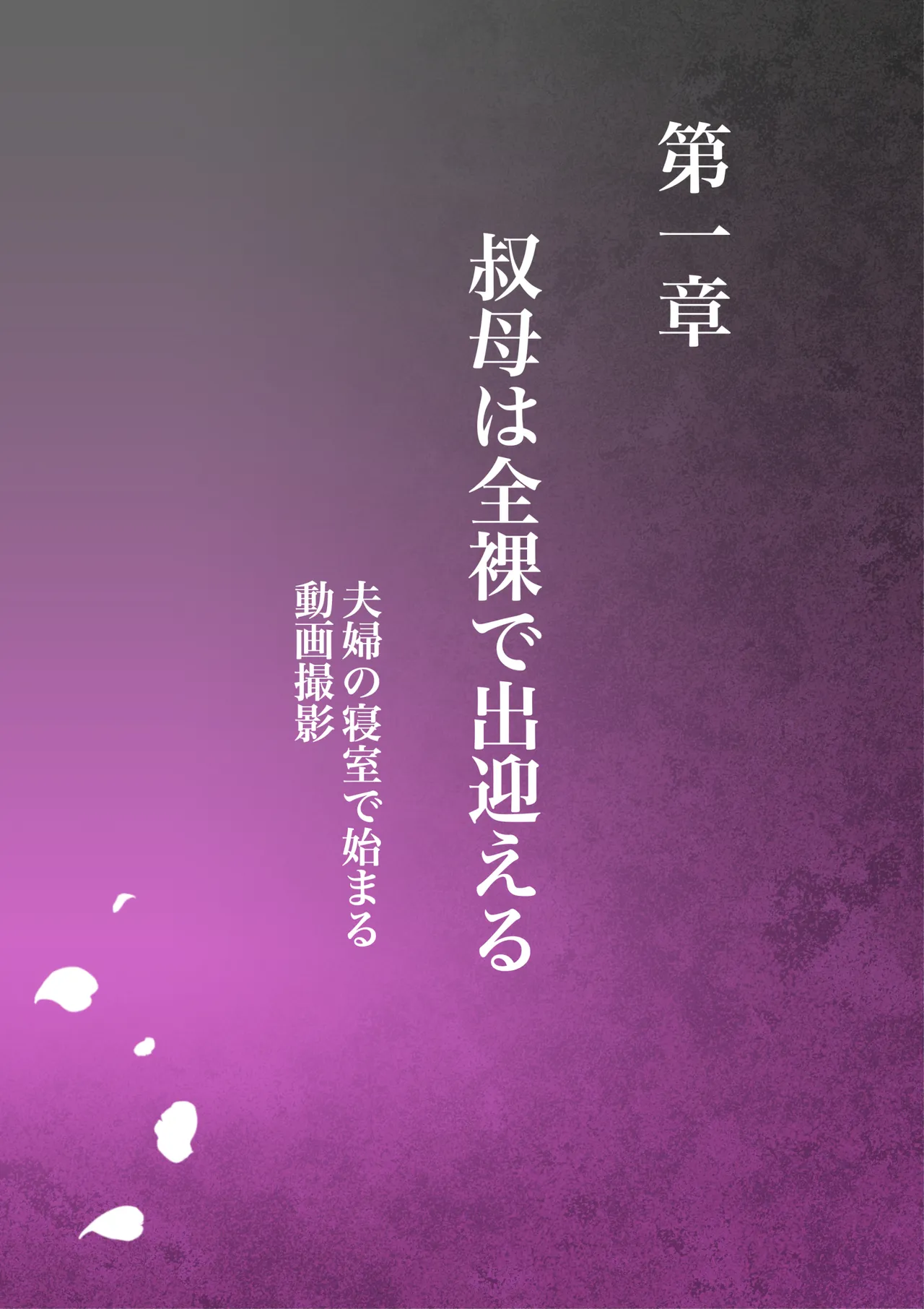 oba manami huuhu no sinsitu de douzinnAV satuei sa reru akogare no oba wo netoru3 page 3 full