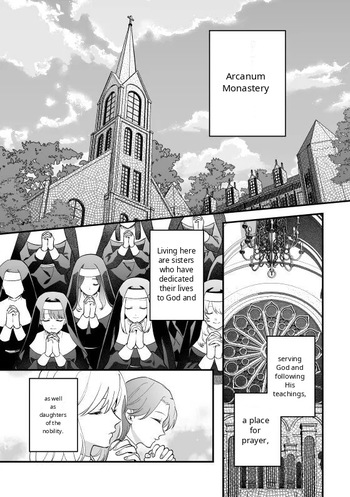 [Original] Vita's Confessional Memoirs cover
