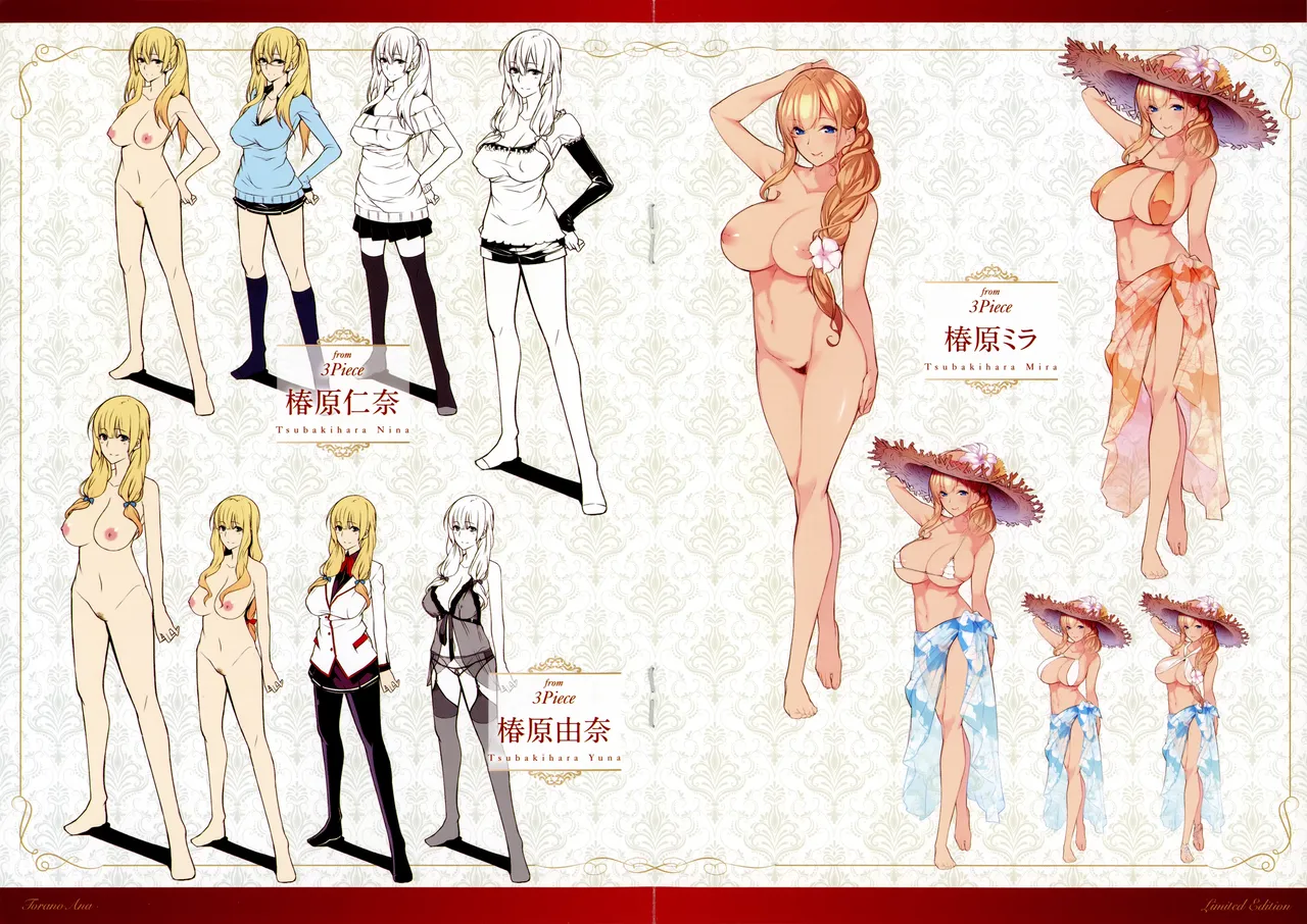 Master Piece とらのあな限定 小冊子 特典 設定資料集 page 3 full