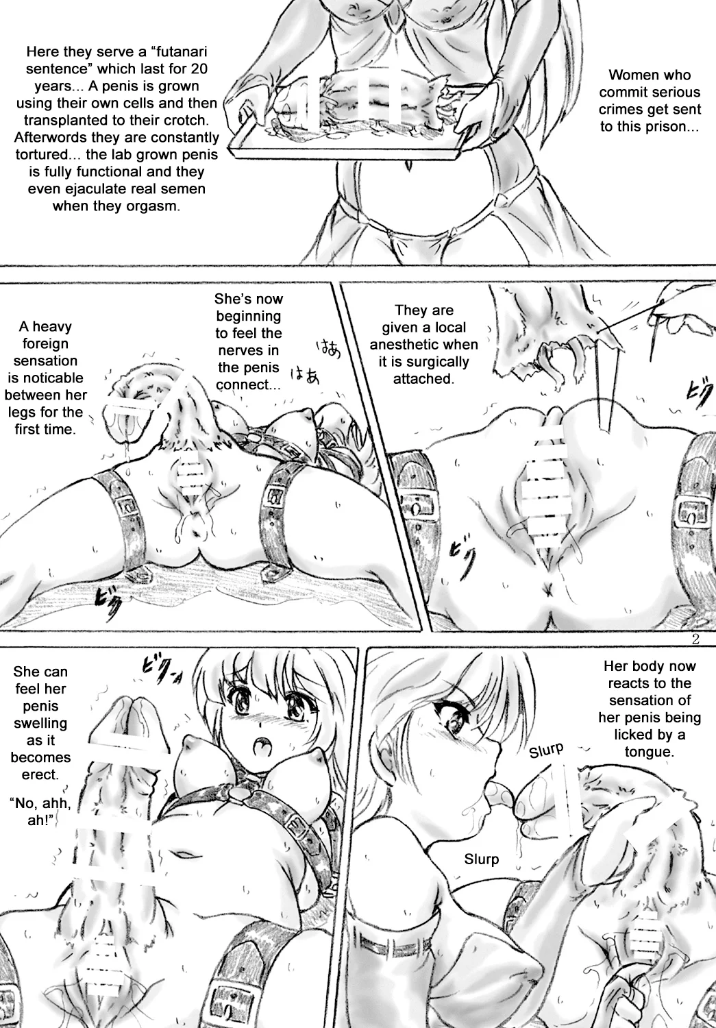 Futanari Sentence: Twenty Year Imprisonment page 2 full