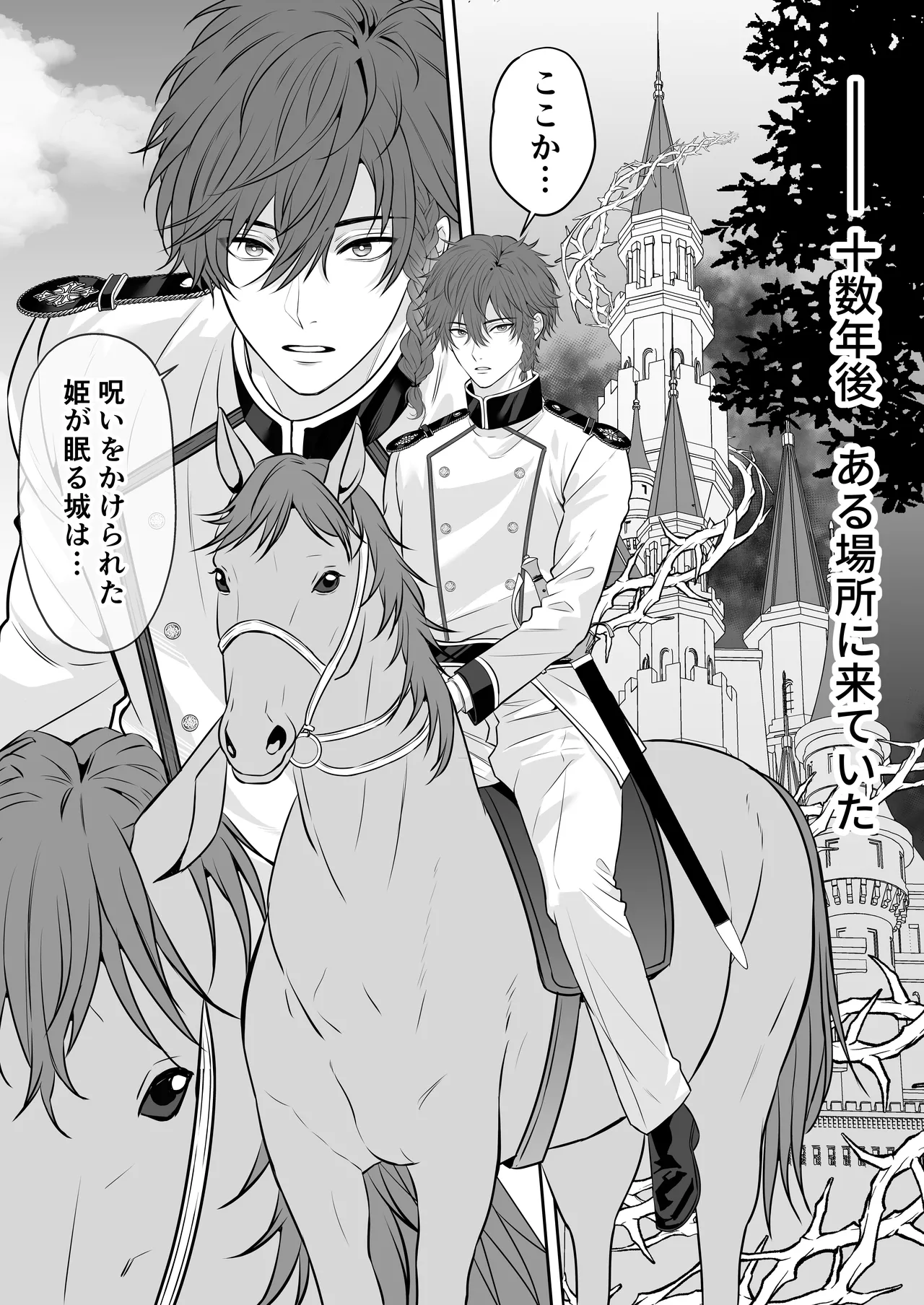 眠り姫を助けに行ったら、眠っていたのはイケメンヤンデレ王子でした page 7 full