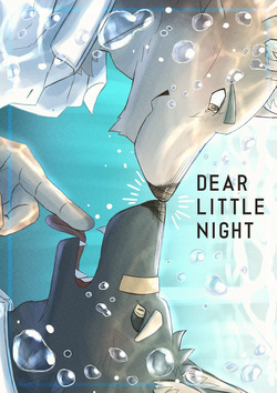 DEAR LITTLE NIGHT