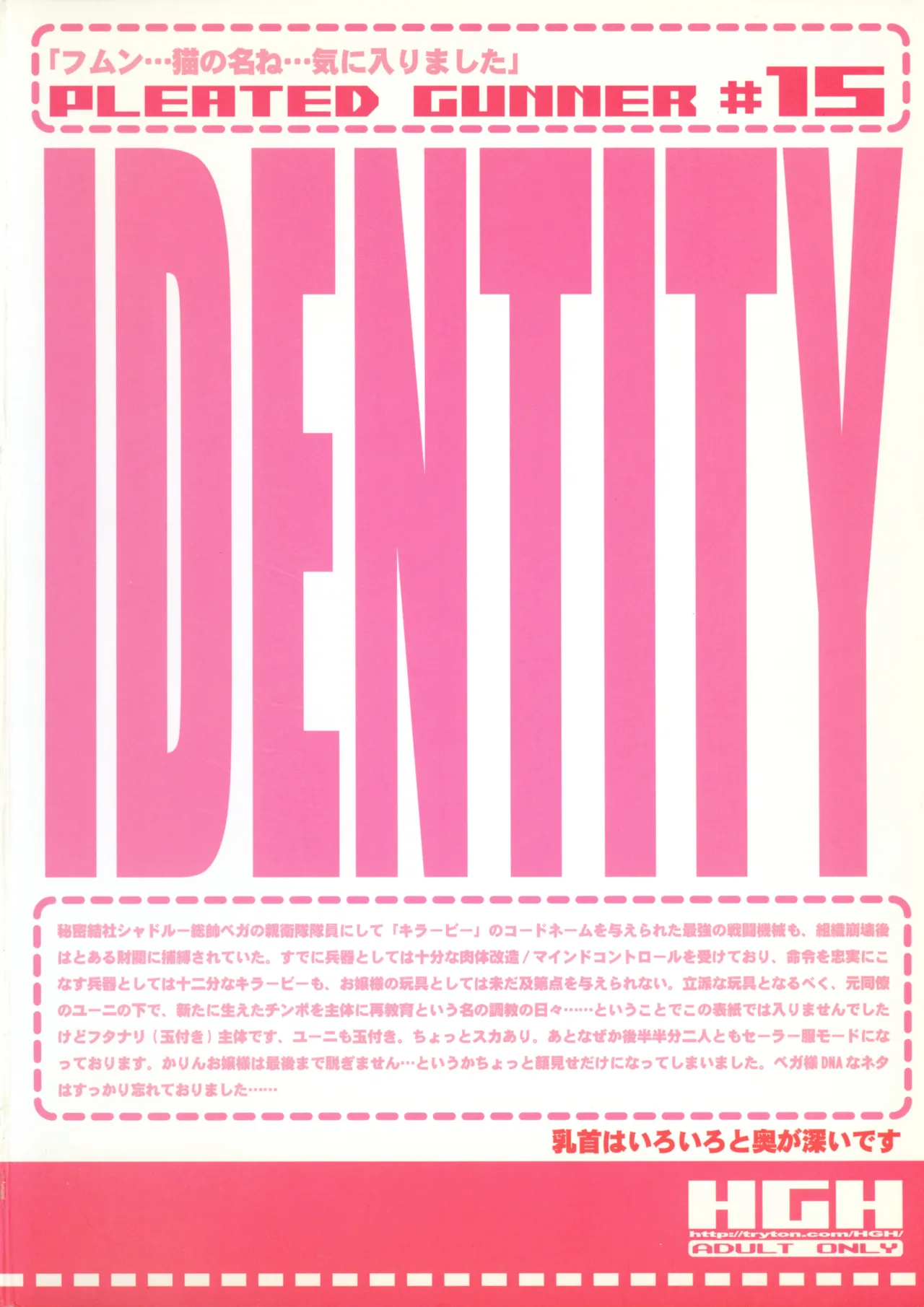 Pleated Gunner 15 - IDENTITY page 2 full