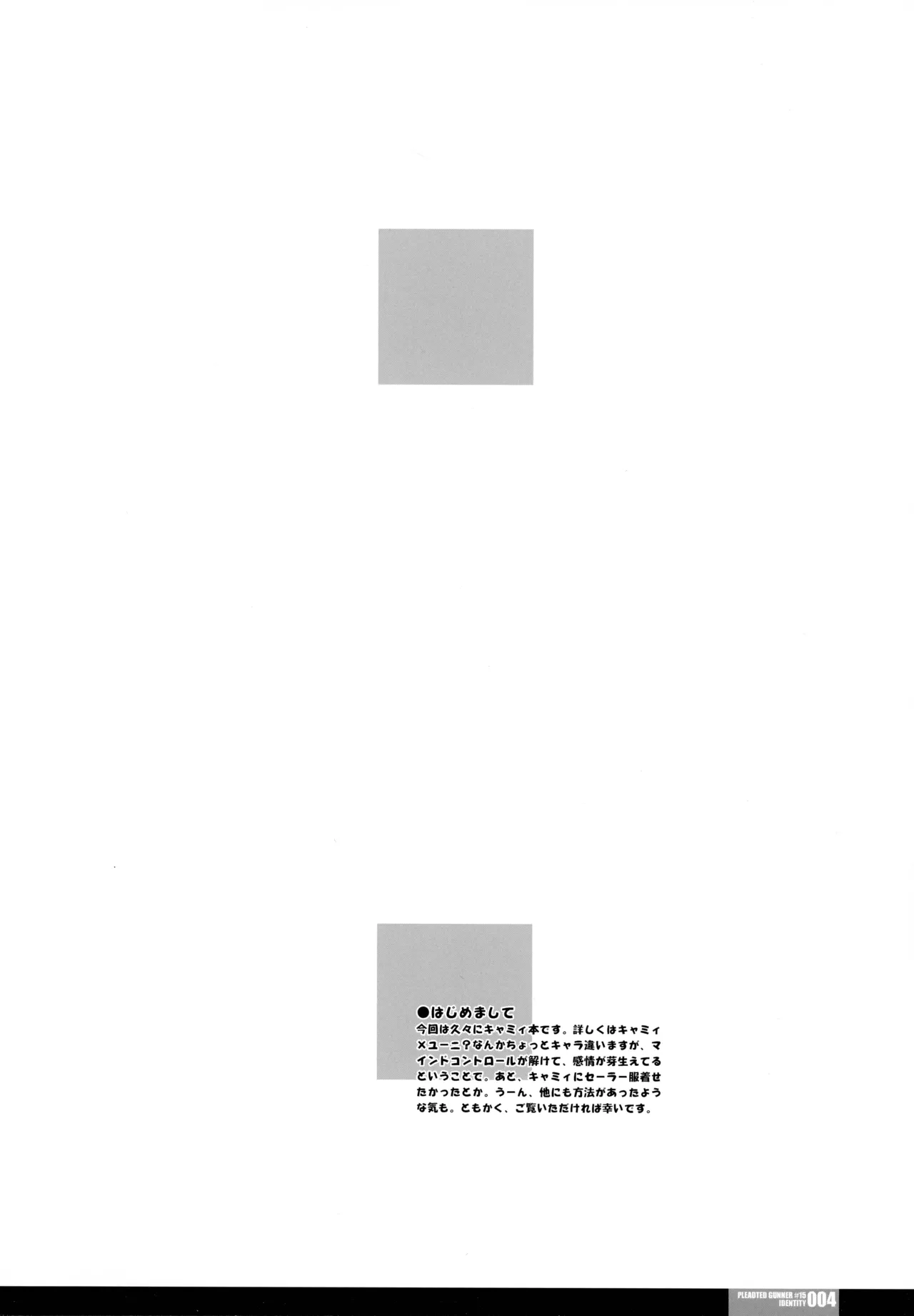 Pleated Gunner 15 - IDENTITY page 4 full