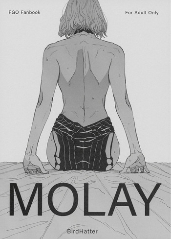 [BirdHatter] MOLAY (Fate Grand Order) [DL版] cover