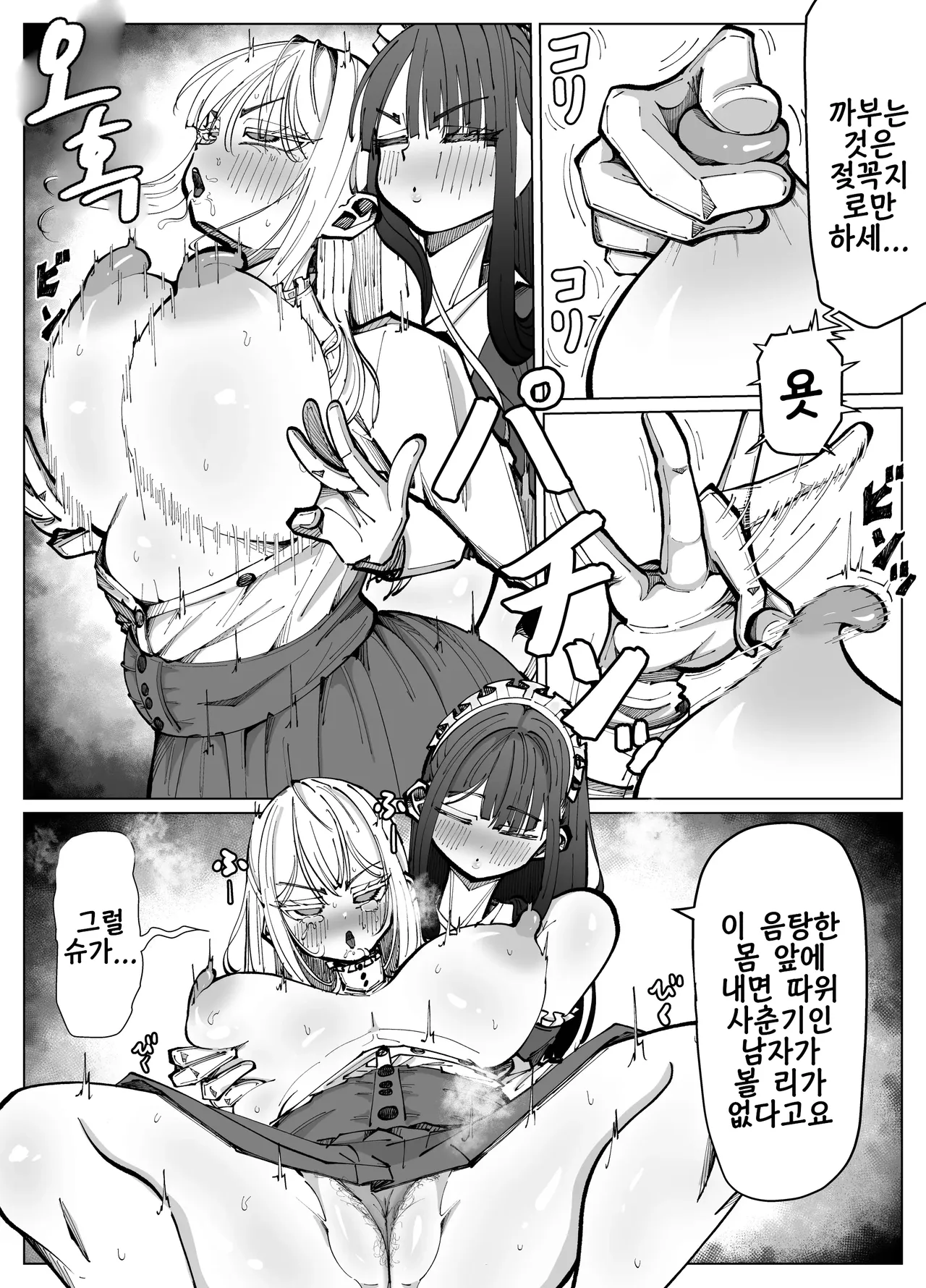 Futanari Maid to Ojou-sama no Dosukebe Daisakusen | 후타나리 메이드와 아가씨의 씹음탕 대작전 page 11 full