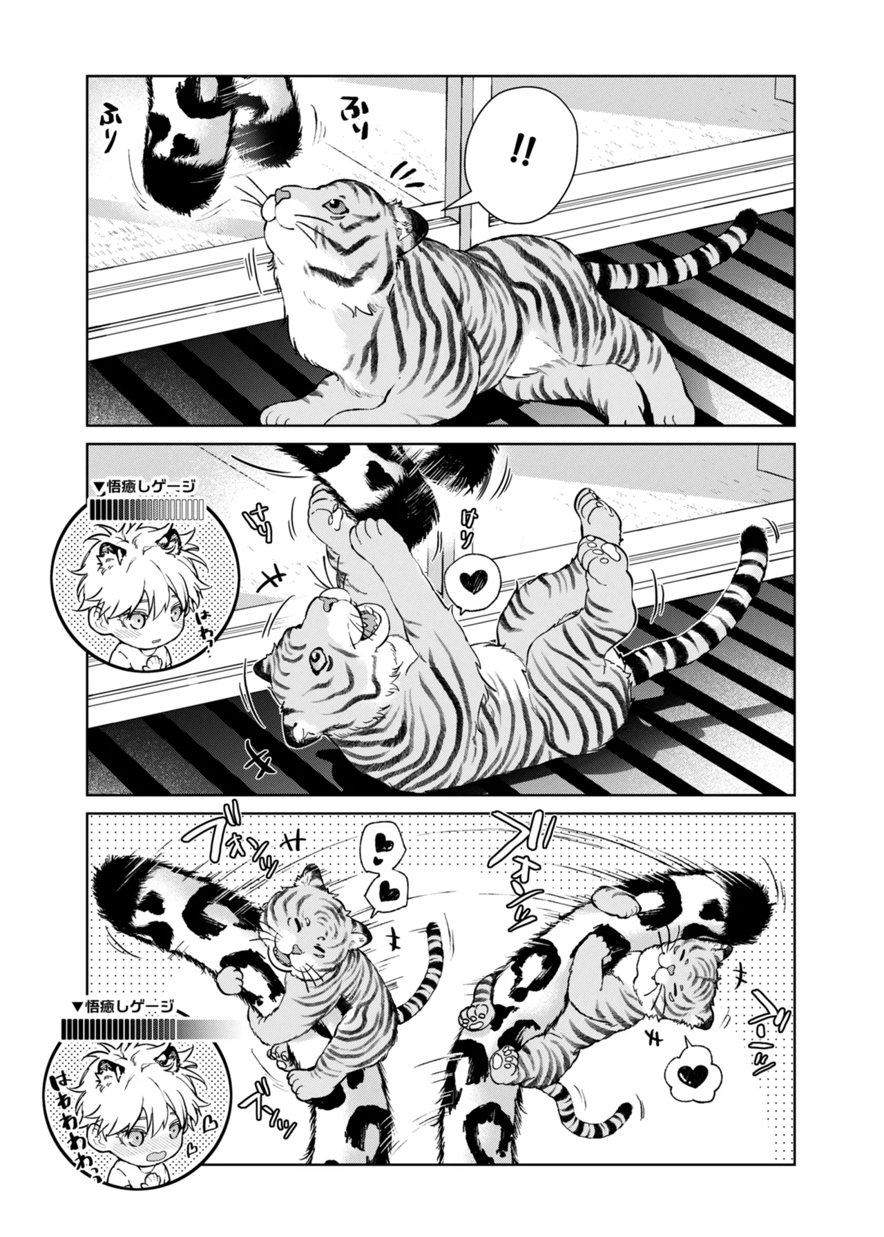 都会には獣人がいない 癒しの虎編 page 7 full