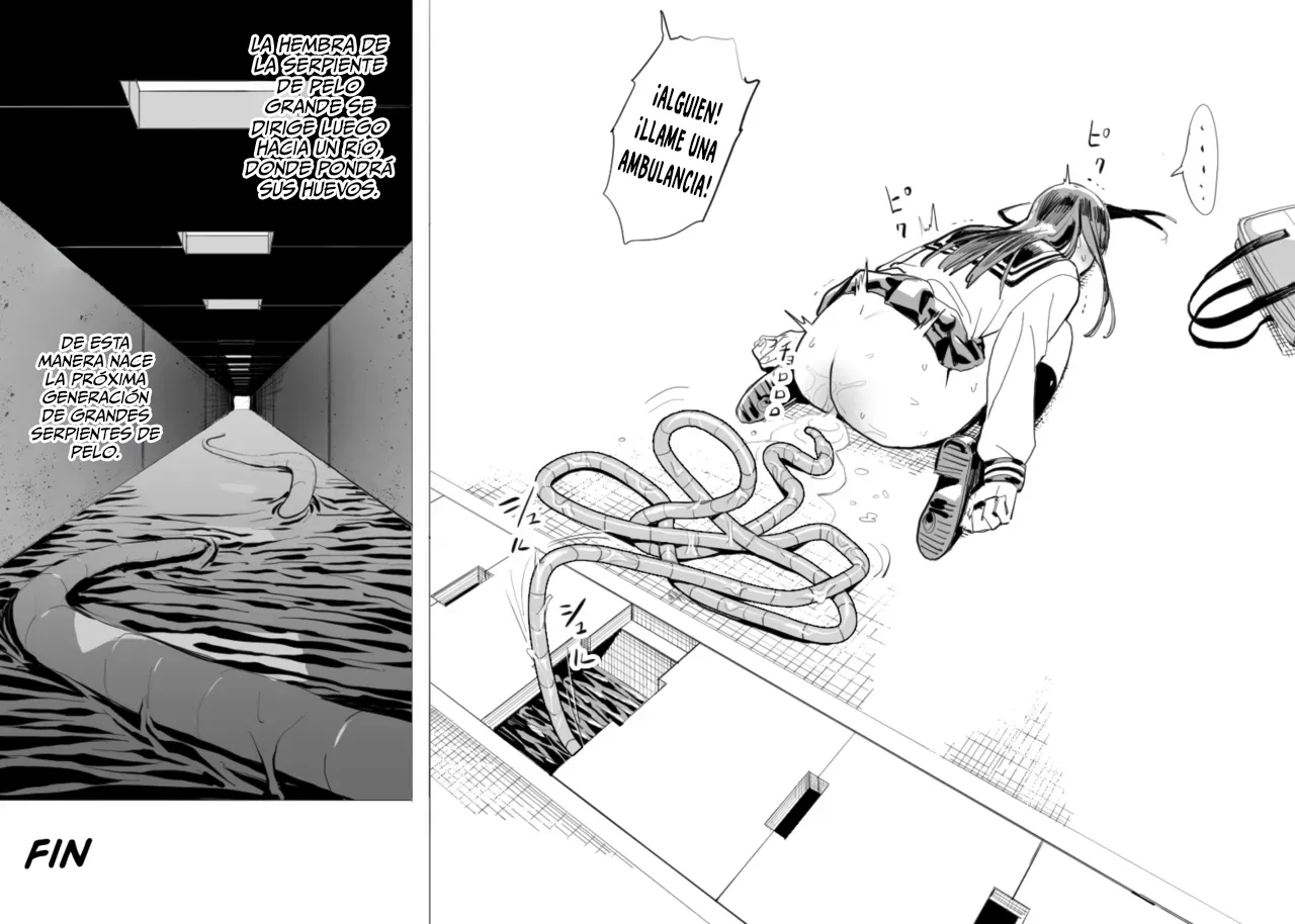 La gran serpiente de pelo page 11 full