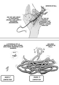 La gran serpiente de pelo