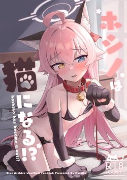 Hoshino wa Neko ni Naru