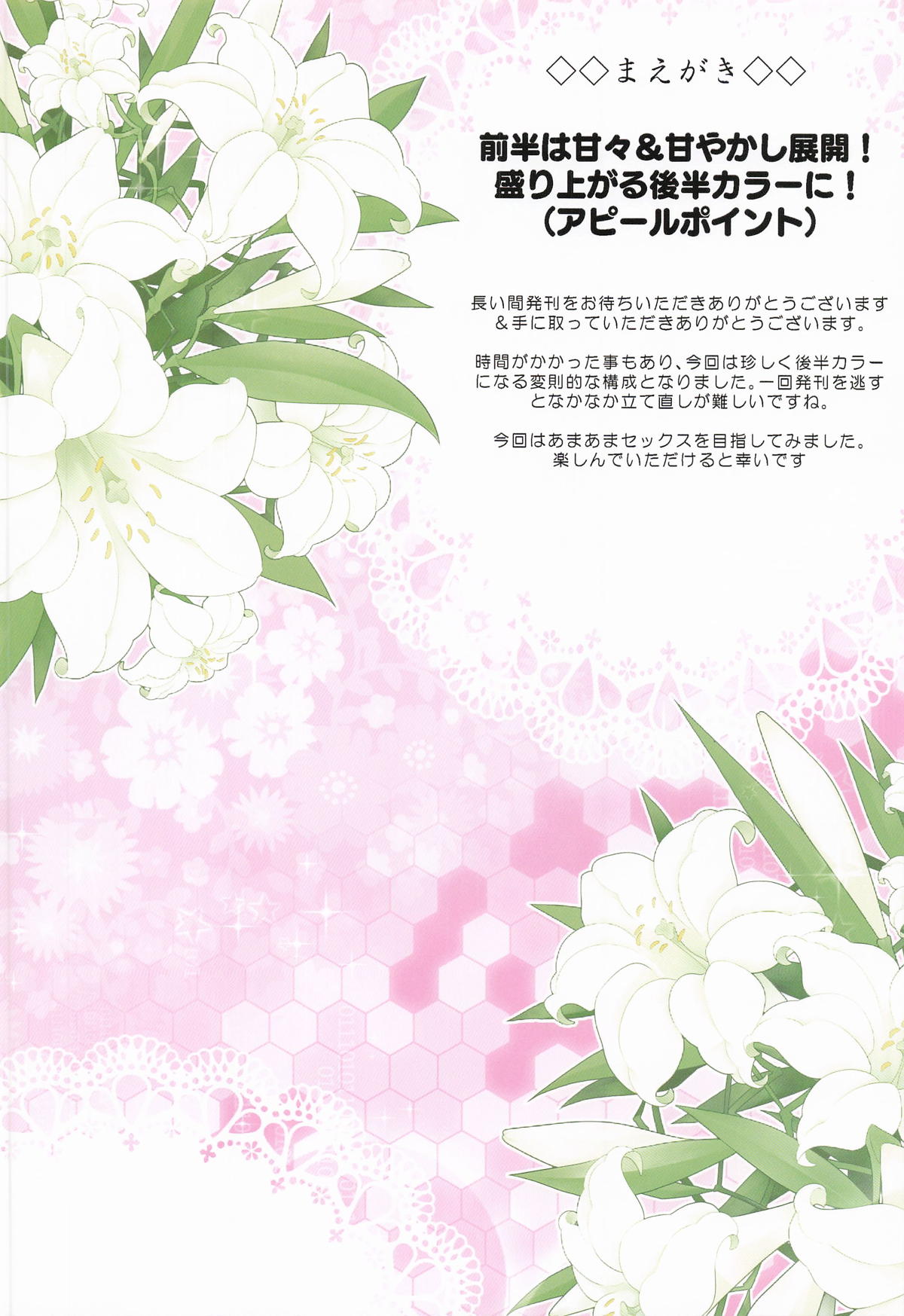 同居ではじまるおねえさんスカイ2 page 3 full