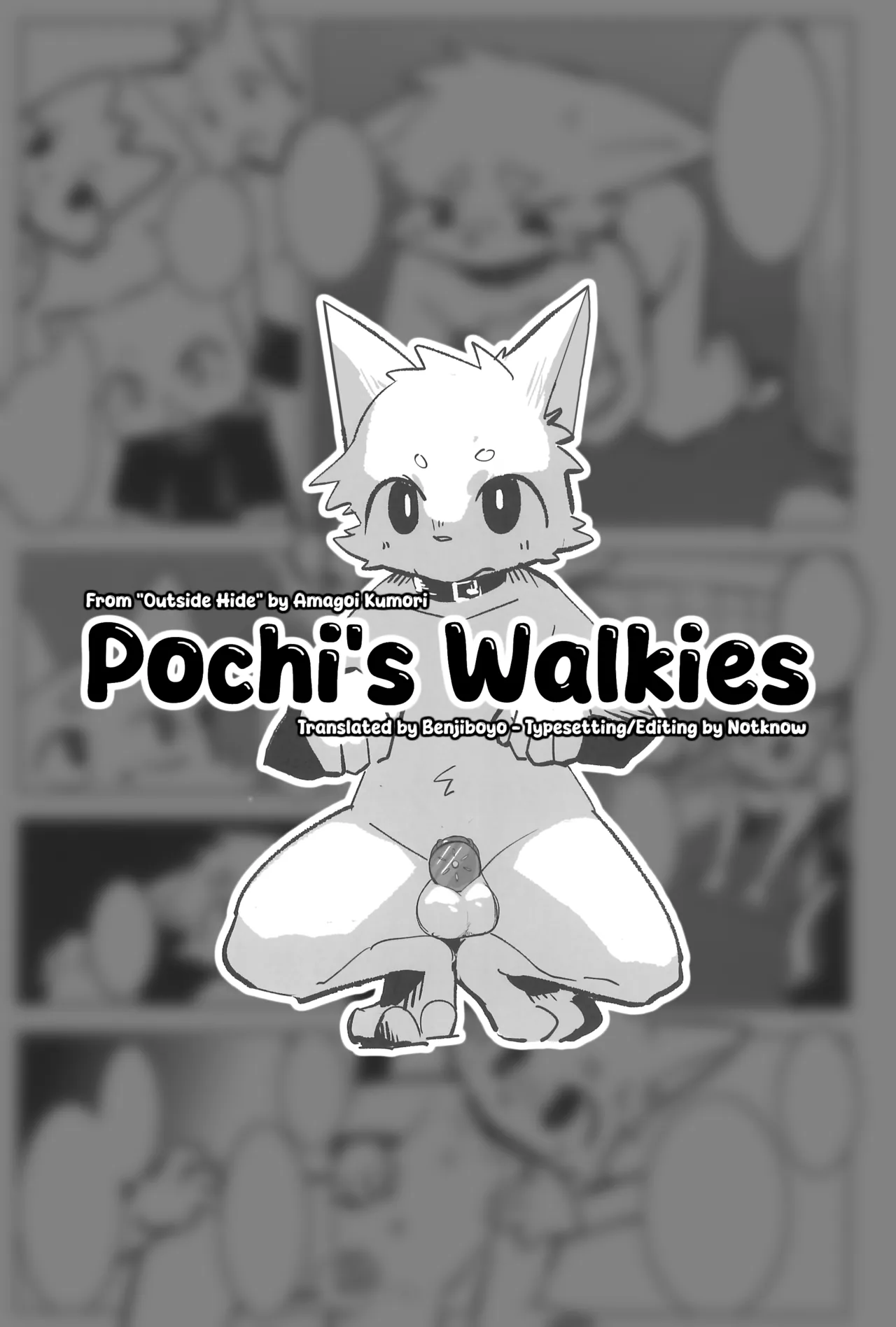 Pochi's Walkies page 1 full