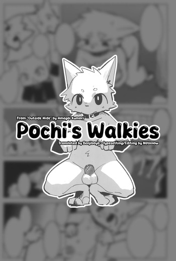 (Kansai Kemoket 11) [Pom Rice (Amagoi Kumori)] Pochi's Walkies (Outside Hide) [English] [Benjiboyo] cover