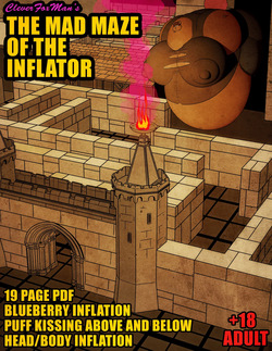 The Mad Maze of The Inflator