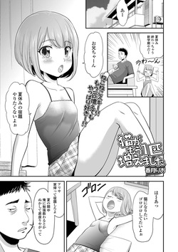猫がもう1匹増えました