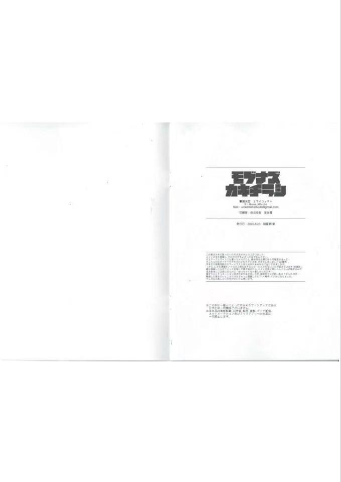 【エライコッチャ】モブナズカキチラシ（崩壊：スターレイル） page 6 full