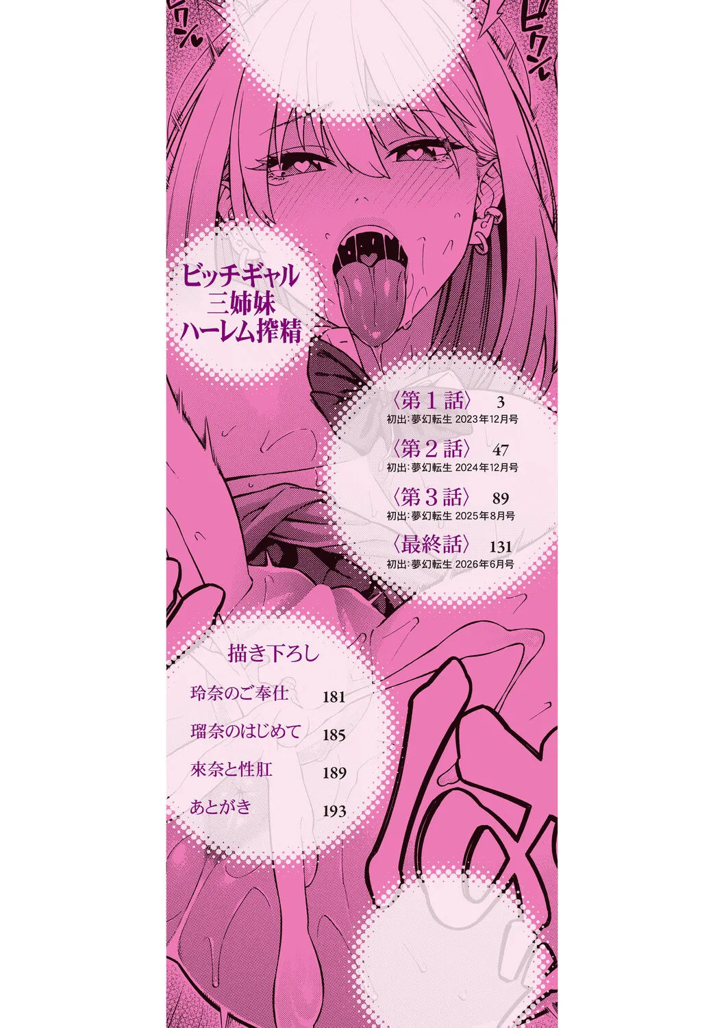 Seiyoku Monster Sanshimai Bitch na Harem Sakusei｜성욕 몬스터 세자매 빗치들의 하렘 착정 page 3 full