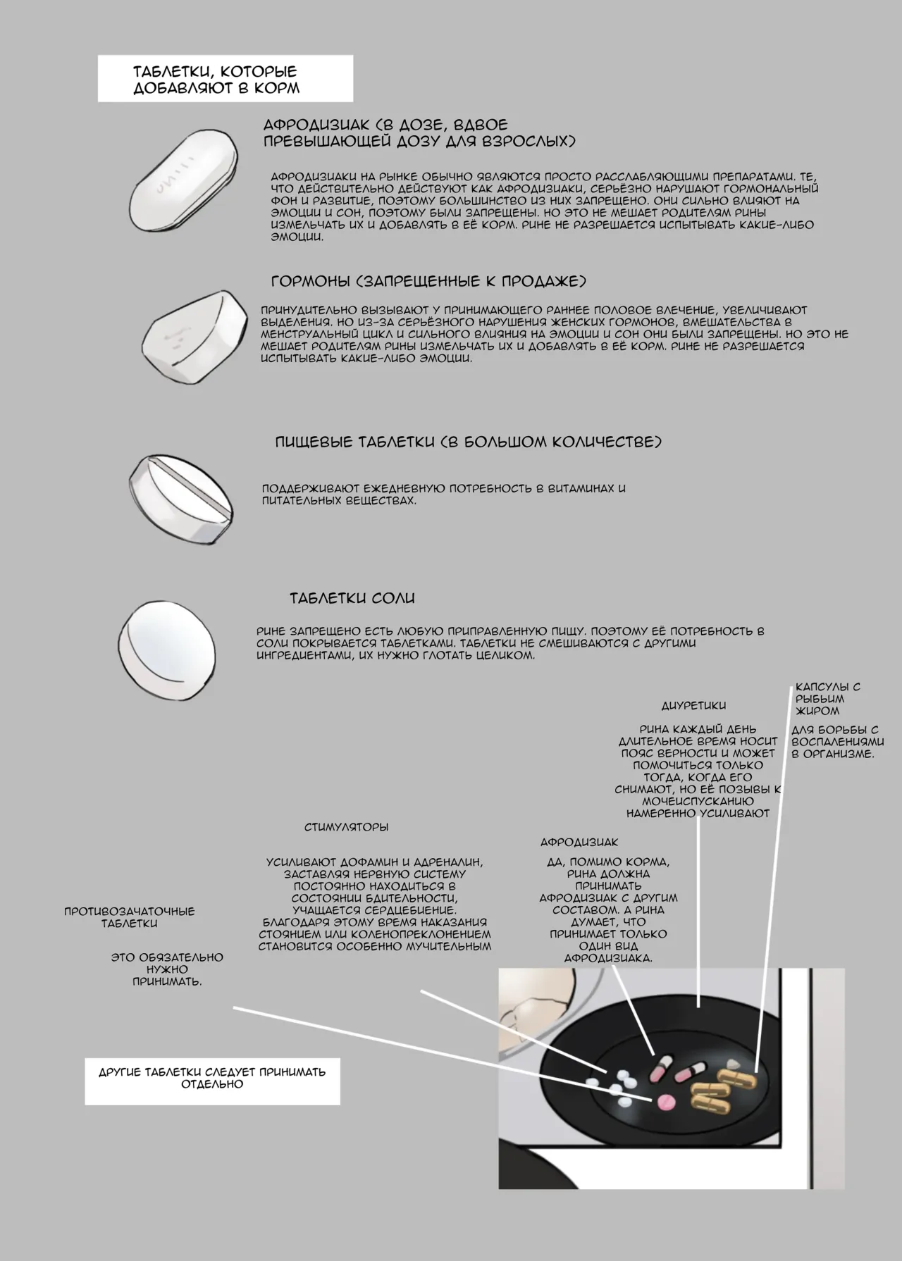 Рина — Восьмилетний план воспитания — корм page 10 full