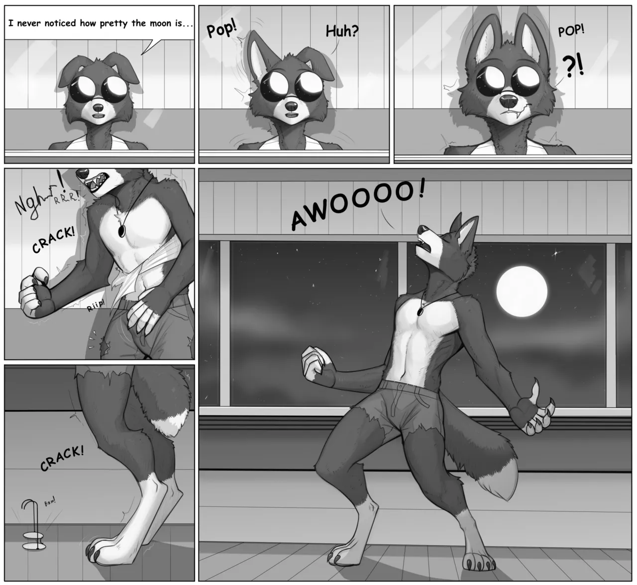 Ned' Necklace page 2 full